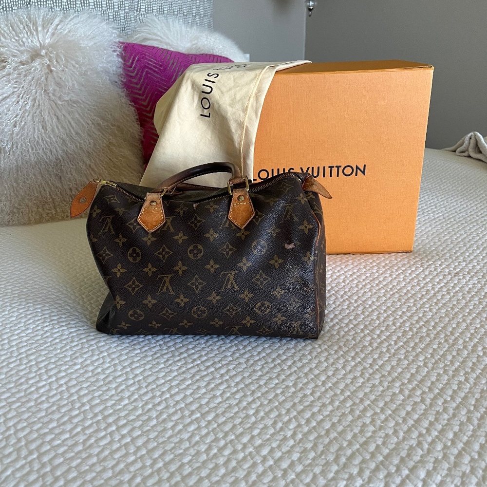Louis Vuitton Speedy Monogram 30 - great piece for canvas for my ETSY friends.